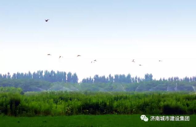 南宫28官网
