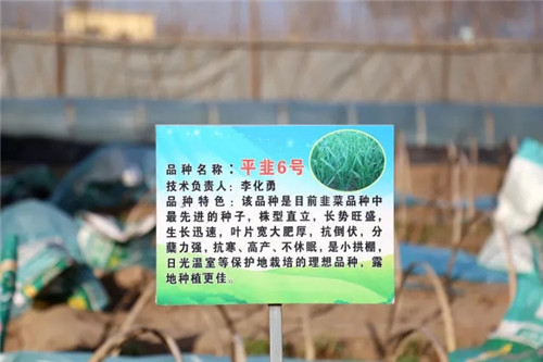 南宫28官网