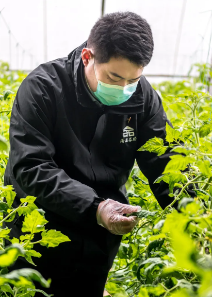 南宫28官网