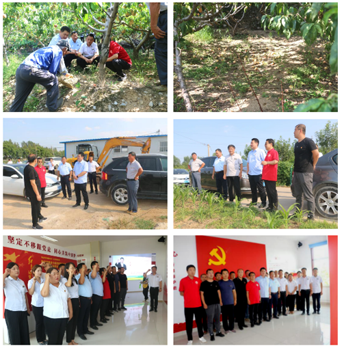 南宫28官网