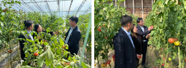 南宫28官网