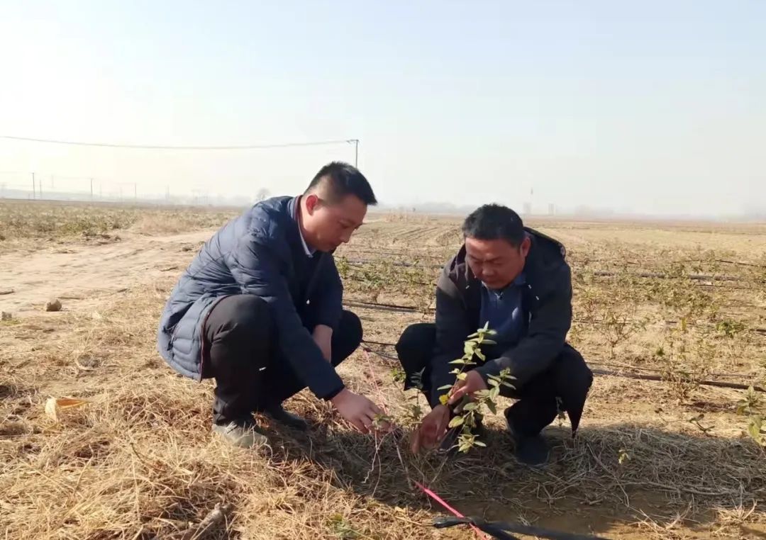 南宫28官网