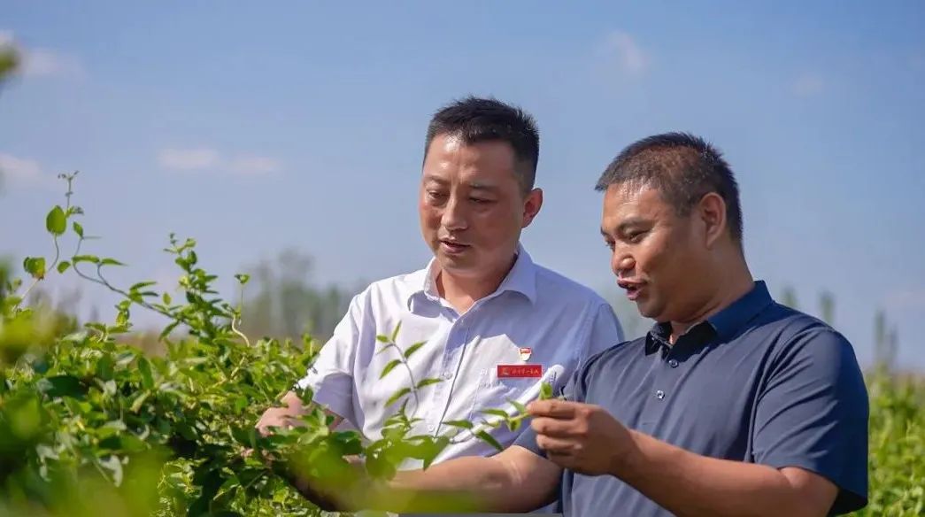 南宫28官网