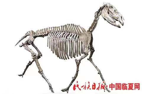 南宫28官网
