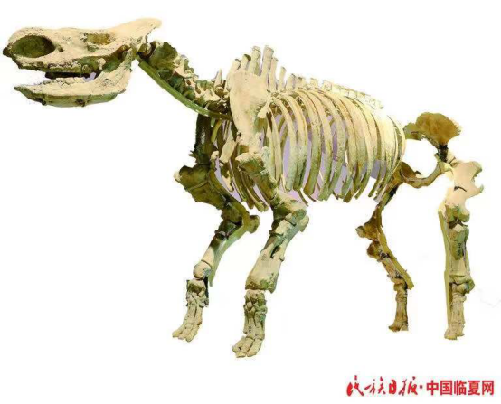 南宫28官网