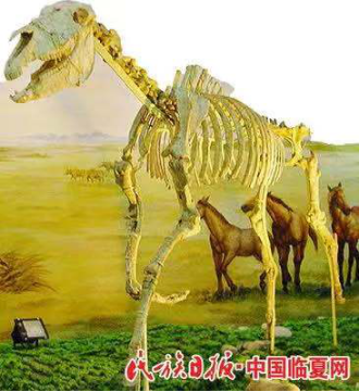 南宫28官网